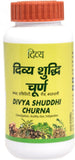 Patanjali Divya Shuddhi Churna 100 g — herbal powder for constipation & digestion
