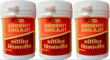 Vyas Shilajit 20 Cap