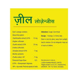 Vasu Zeal Lozenges Pineapple